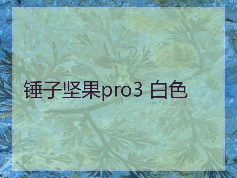 锤子坚果pro3 白色