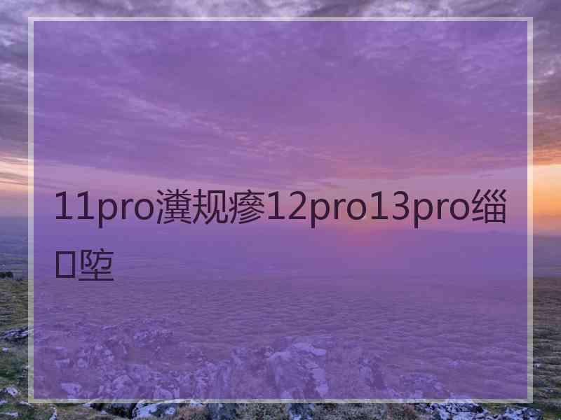 11pro瀵规瘮12pro13pro缁埅