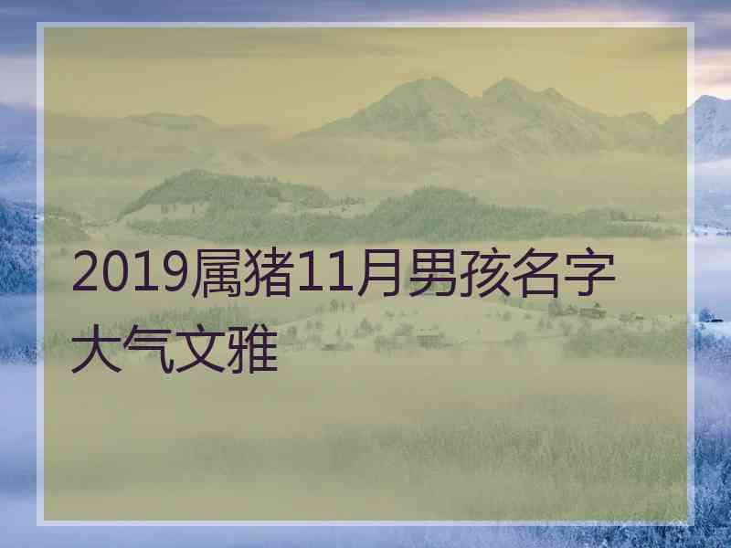 2019属猪11月男孩名字大气文雅