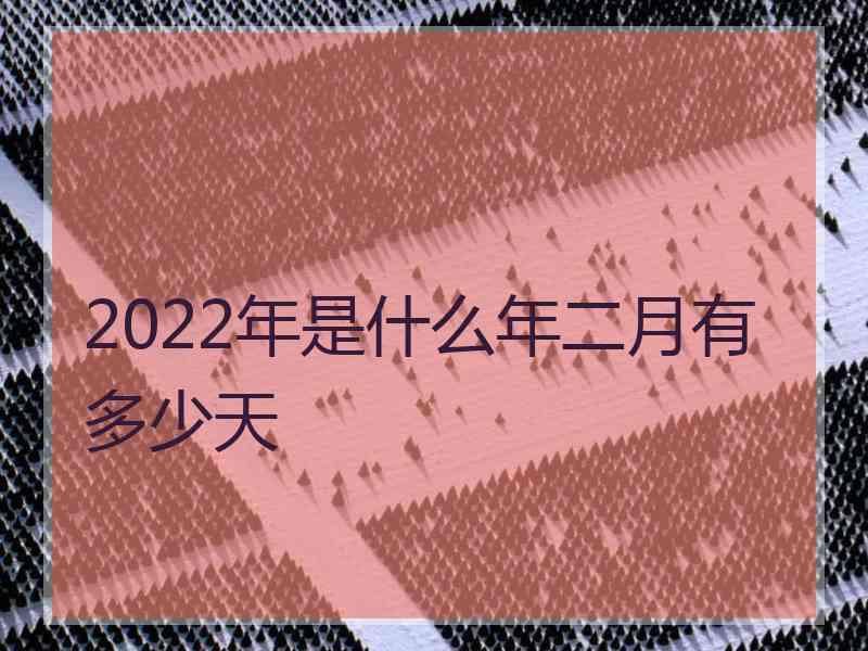 2022年是什么年二月有多少天