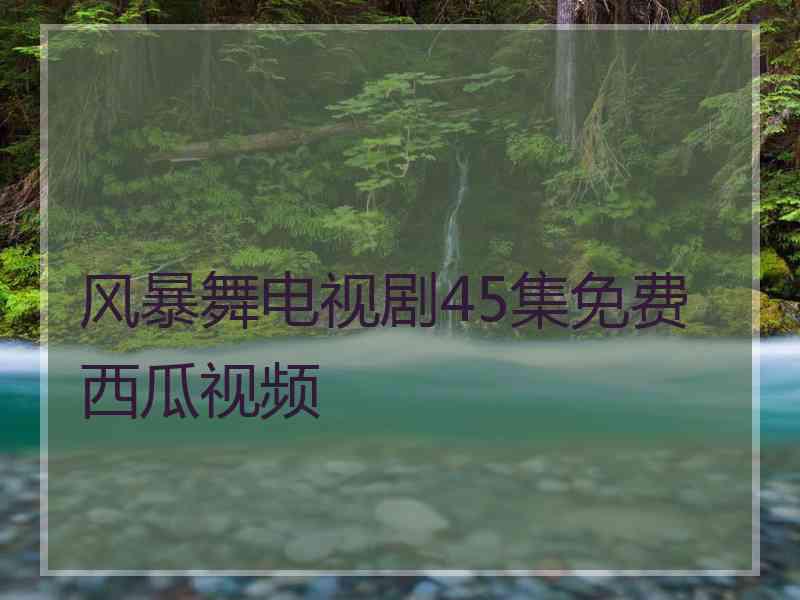 风暴舞电视剧45集免费西瓜视频