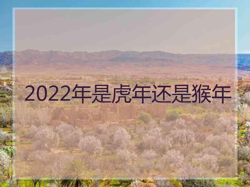 2022年是虎年还是猴年