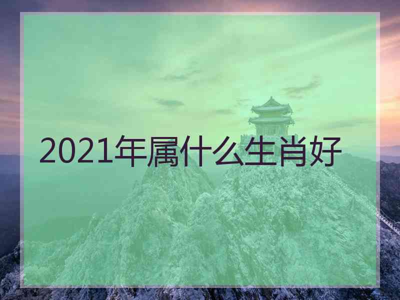 2021年属什么生肖好