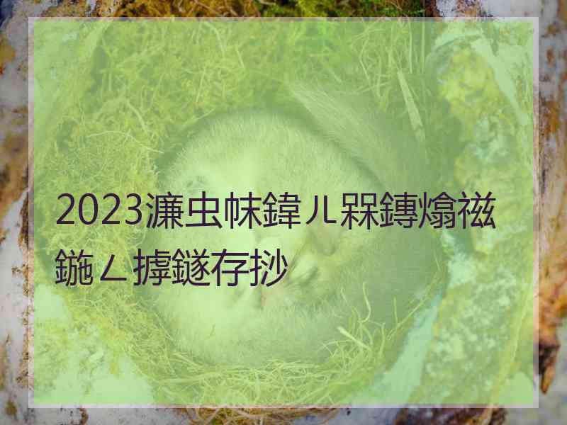 2023濂虫帓鍏ㄦ槑鏄熻禌鍦ㄥ摢鐩存挱