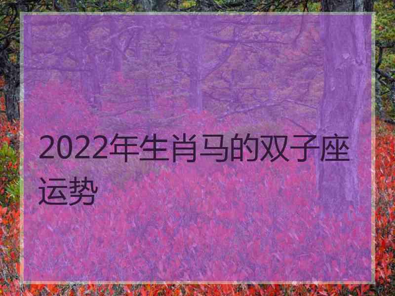 2022年生肖马的双子座运势