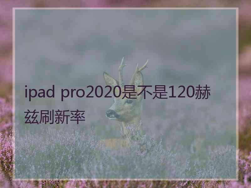 ipad pro2020是不是120赫兹刷新率