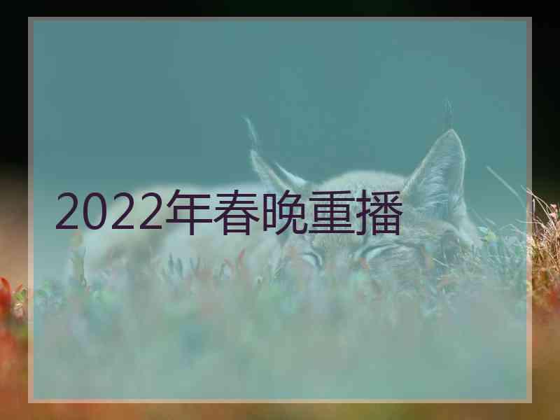 2022年春晚重播