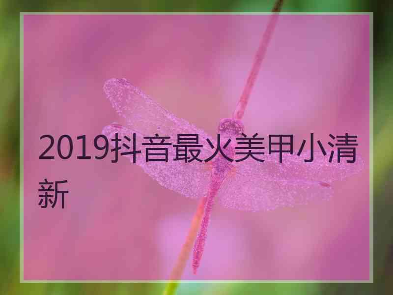 2019抖音最火美甲小清新