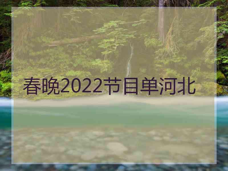 春晚2022节目单河北