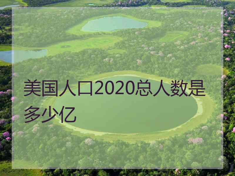 美国人口2020总人数是多少亿