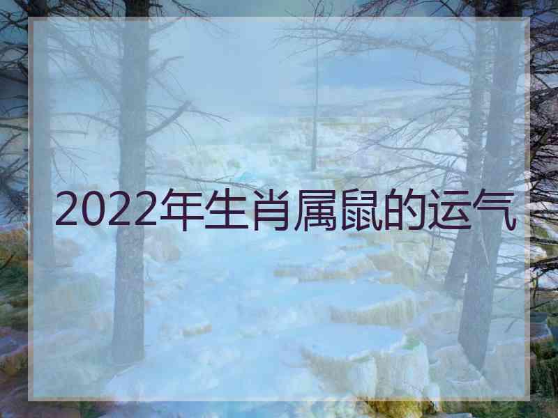 2022年生肖属鼠的运气