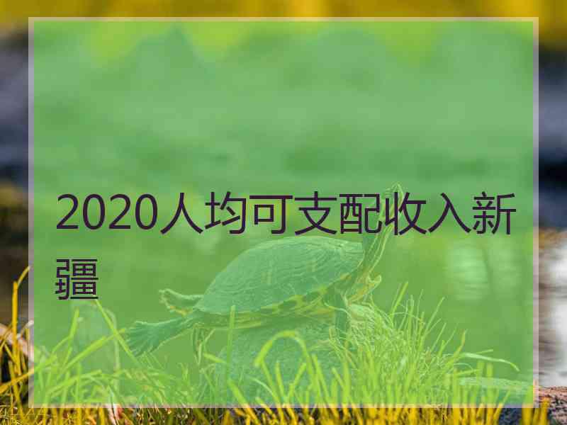 2020人均可支配收入新疆