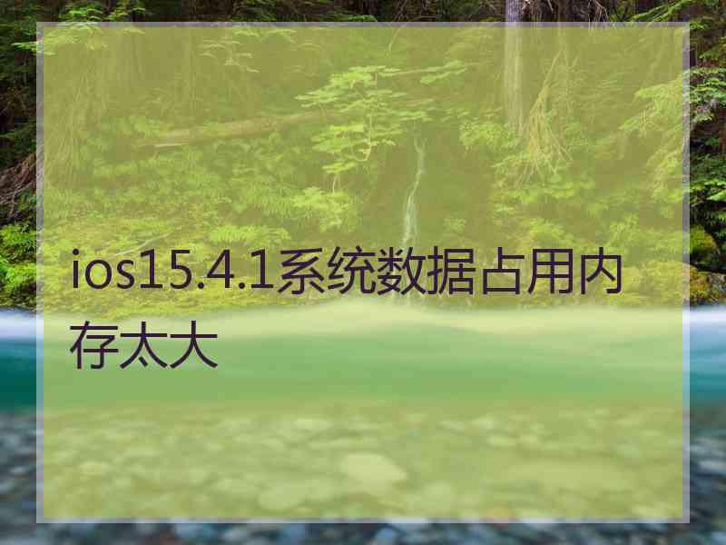 ios15.4.1系统数据占用内存太大