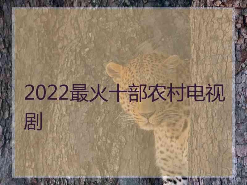 2022最火十部农村电视剧