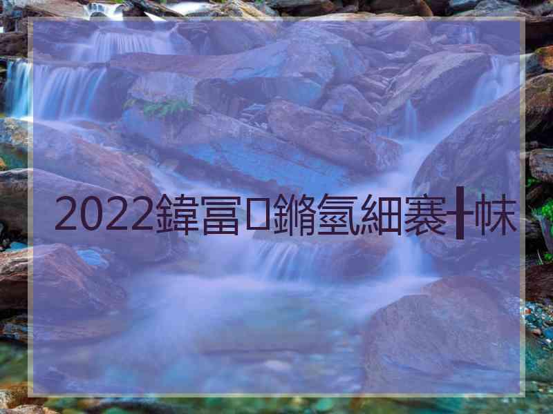 2022鍏冨鏅氫細褰╂帓