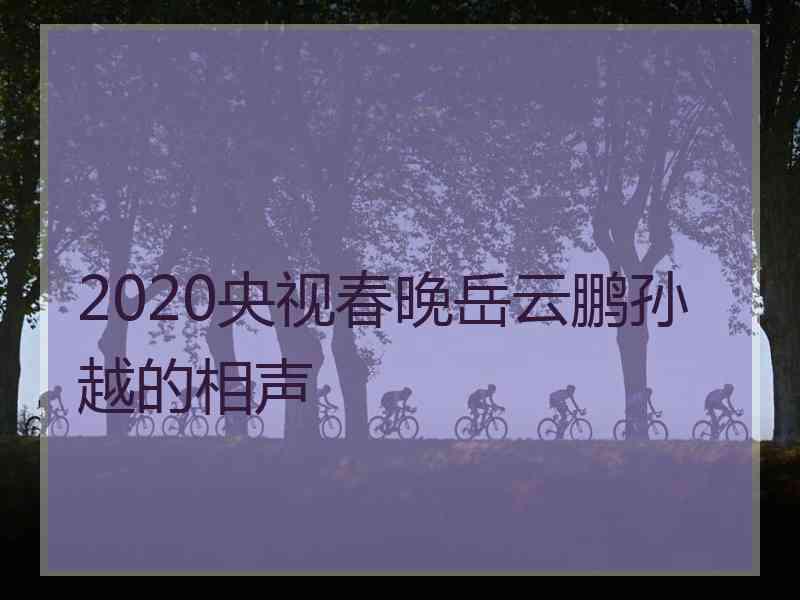 2020央视春晚岳云鹏孙越的相声