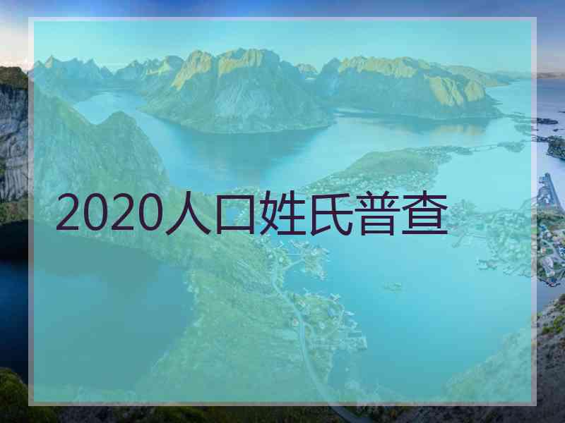 2020人口姓氏普查