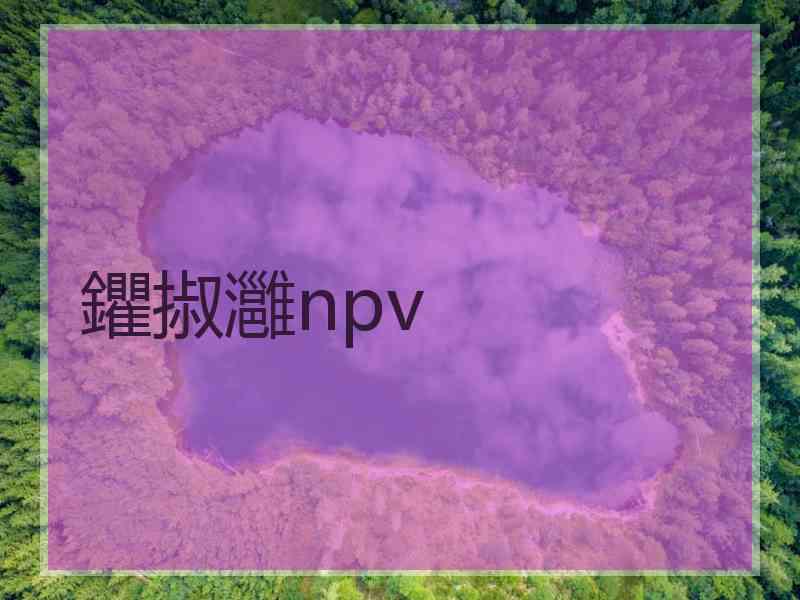 鑺掓灉npv