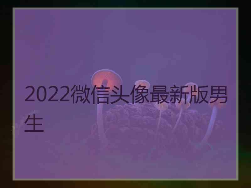 2022微信头像最新版男生