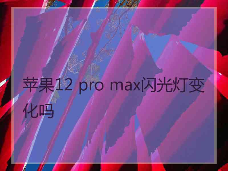 苹果12 pro max闪光灯变化吗