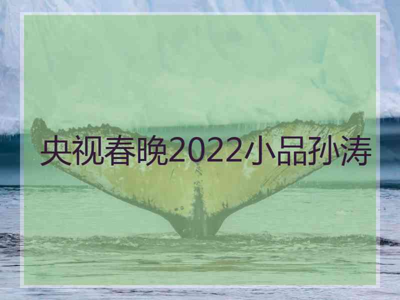 央视春晚2022小品孙涛