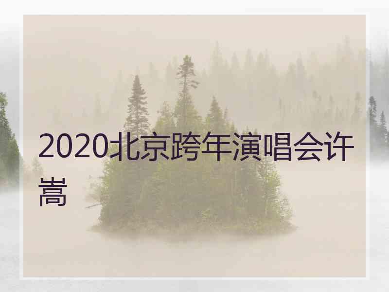 2020北京跨年演唱会许嵩