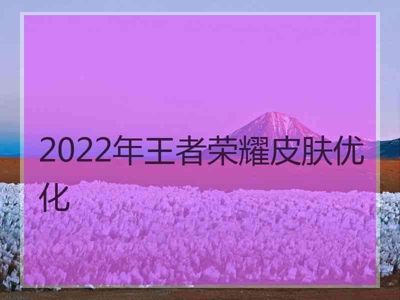 2022年王者荣耀皮肤优化