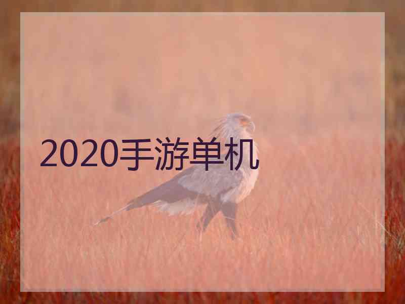 2020手游单机