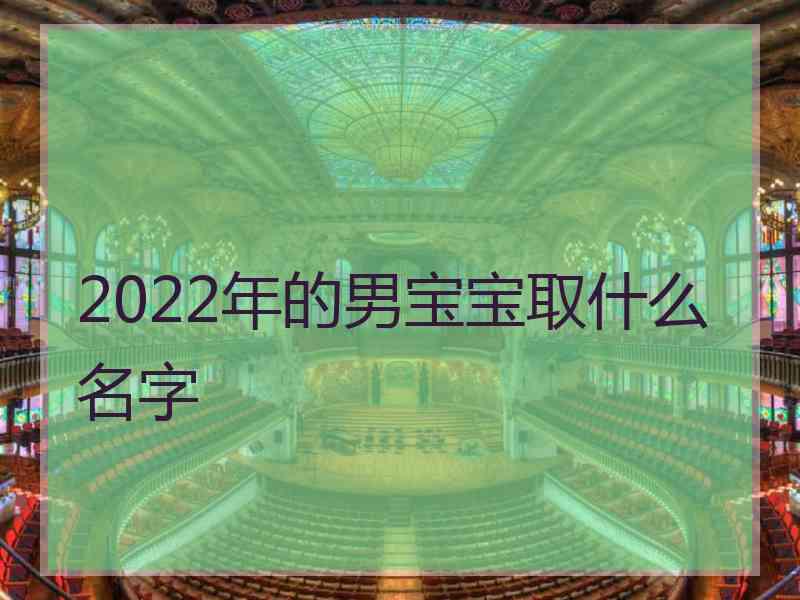 2022年的男宝宝取什么名字