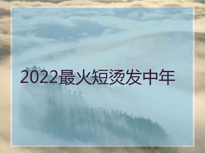 2022最火短烫发中年