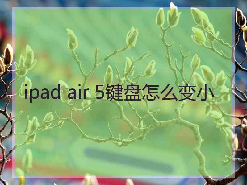 ipad air 5键盘怎么变小