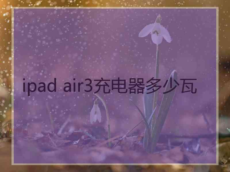 ipad air3充电器多少瓦