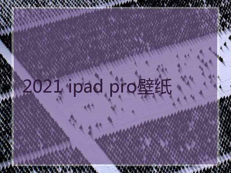 2021 ipad pro壁纸