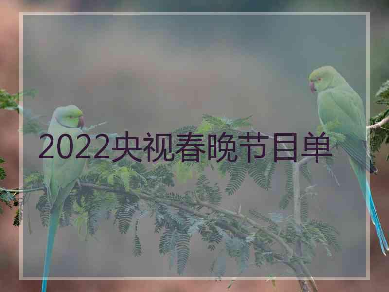 2022央视春晚节目单