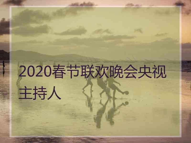 2020春节联欢晚会央视主持人