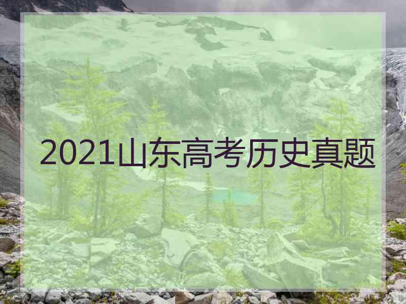 2021山东高考历史真题