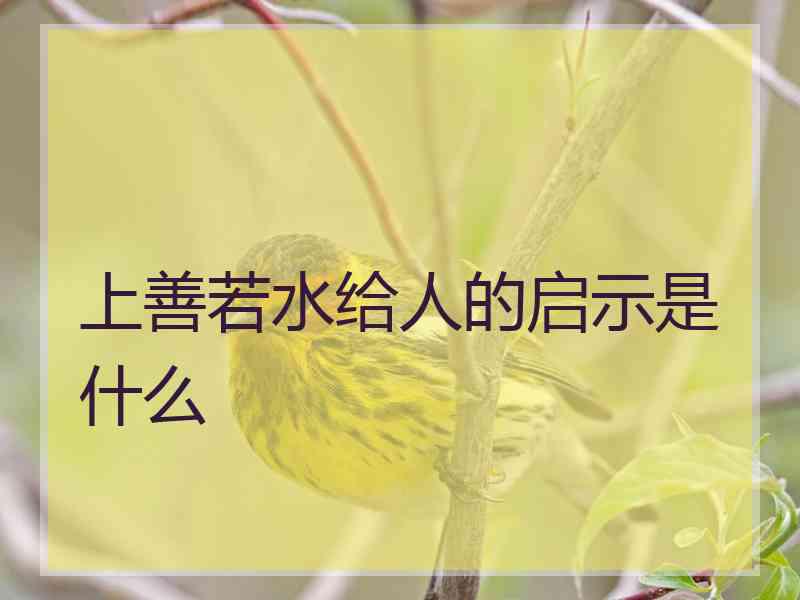 上善若水给人的启示是什么