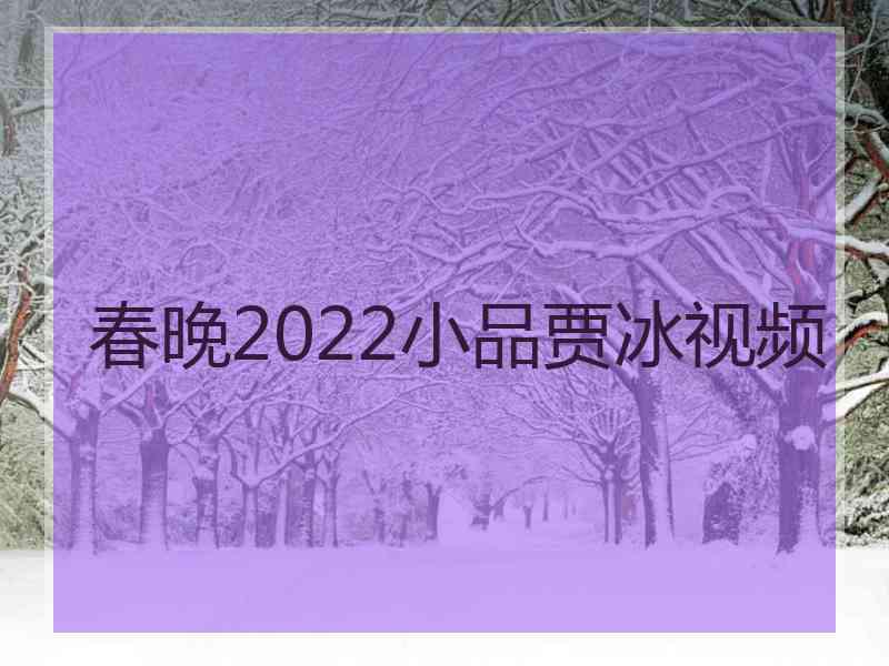 春晚2022小品贾冰视频