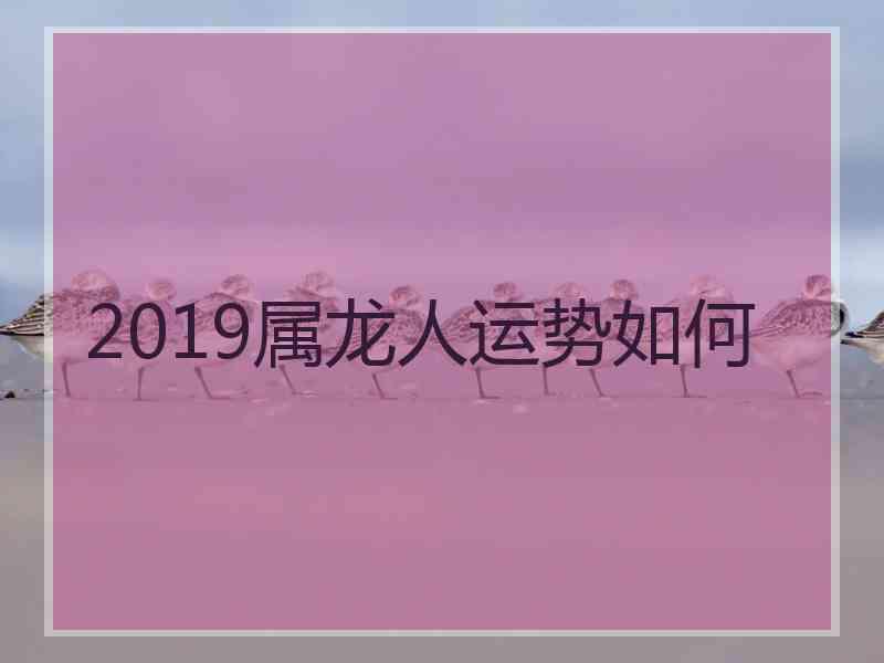 2019属龙人运势如何