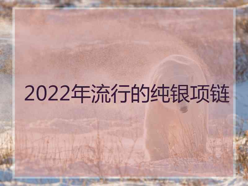 2022年流行的纯银项链