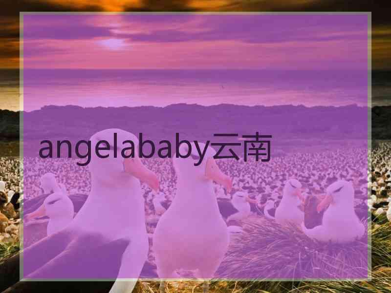 angelababy云南