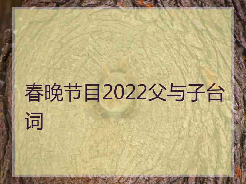 春晚节目2022父与子台词