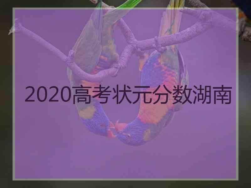 2020高考状元分数湖南