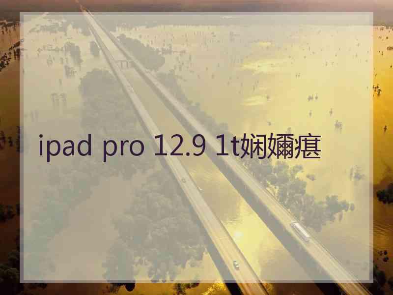 ipad pro 12.9 1t娴嬭瘎