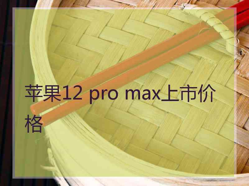 苹果12 pro max上市价格