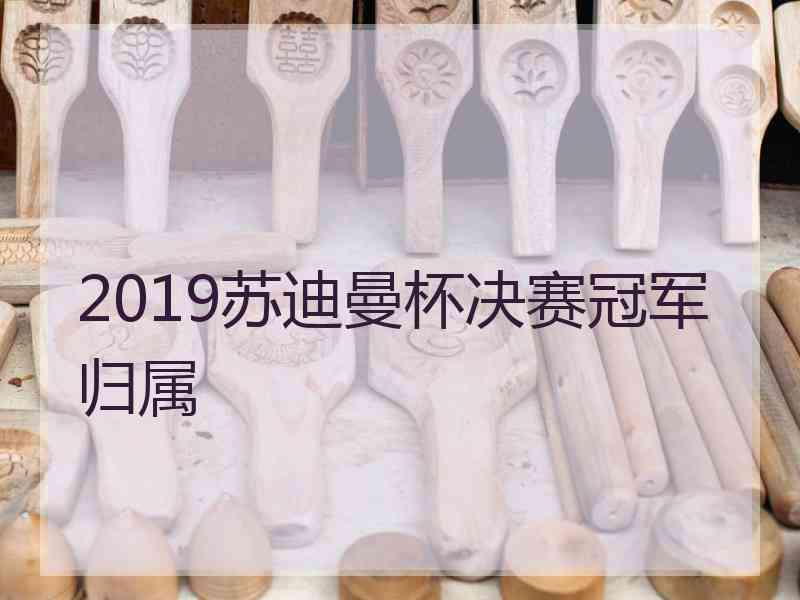 2019苏迪曼杯决赛冠军归属