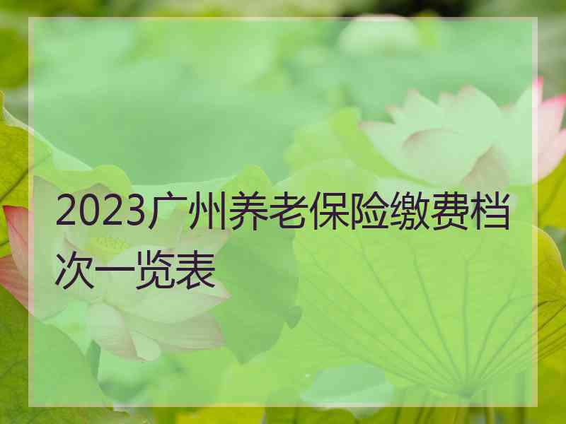 2023广州养老保险缴费档次一览表