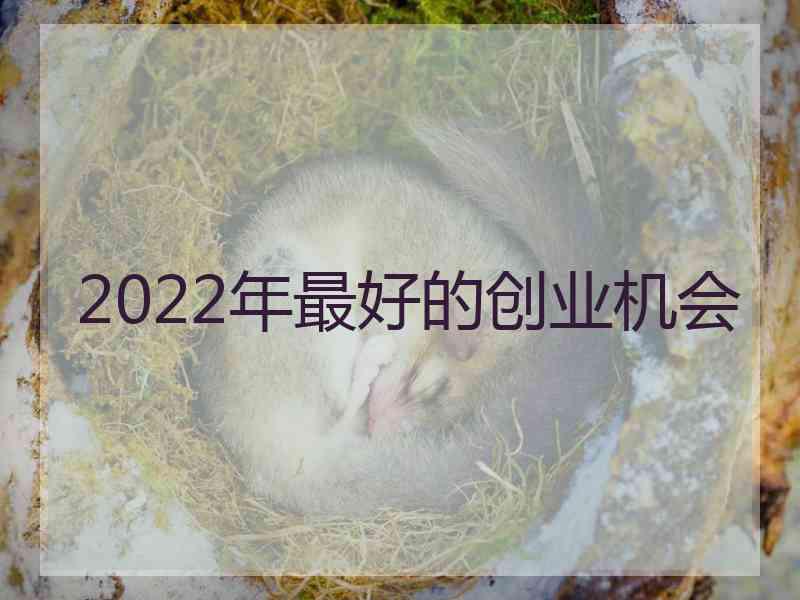 2022年最好的创业机会