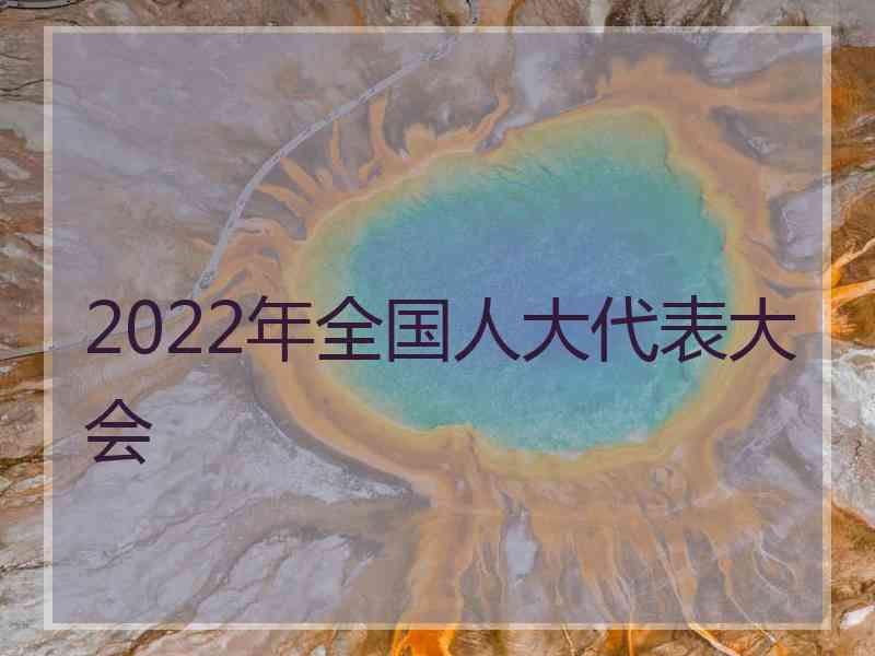 2022年全国人大代表大会