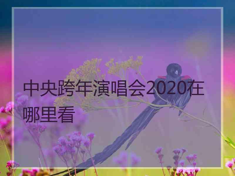 中央跨年演唱会2020在哪里看